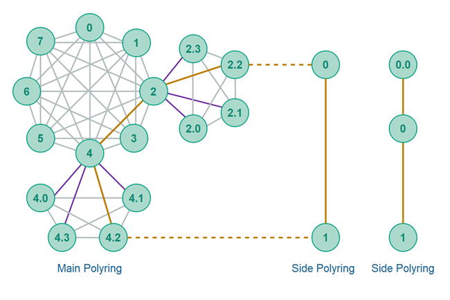 A main Polymorph P2P polyring with two possible side rings illustrated.